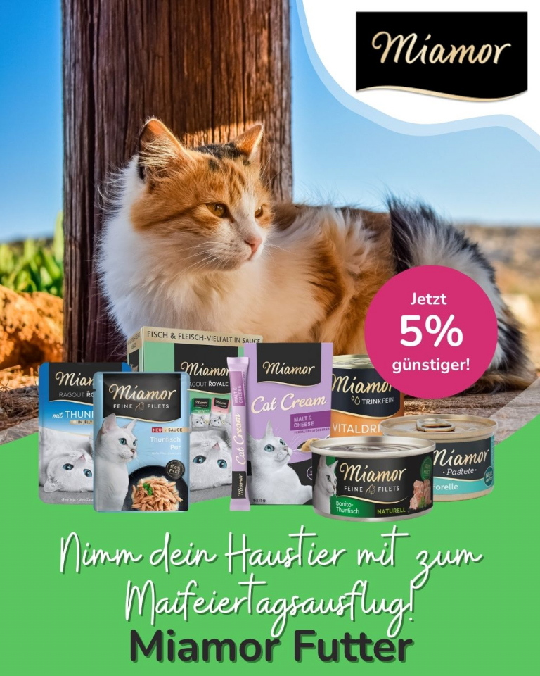 [OFERTA SPECJALNA] Majówka