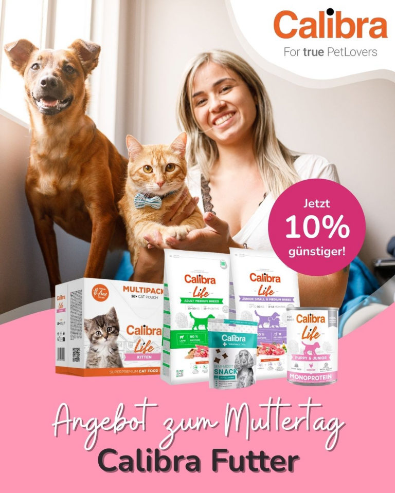 [OFERTA SPECJALNA] Maj Calibra