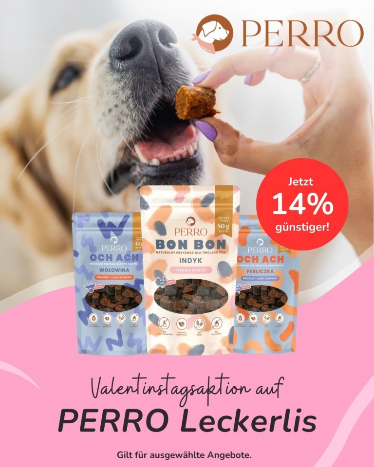 [OFERTA SPECJALNA] Luty - Perro