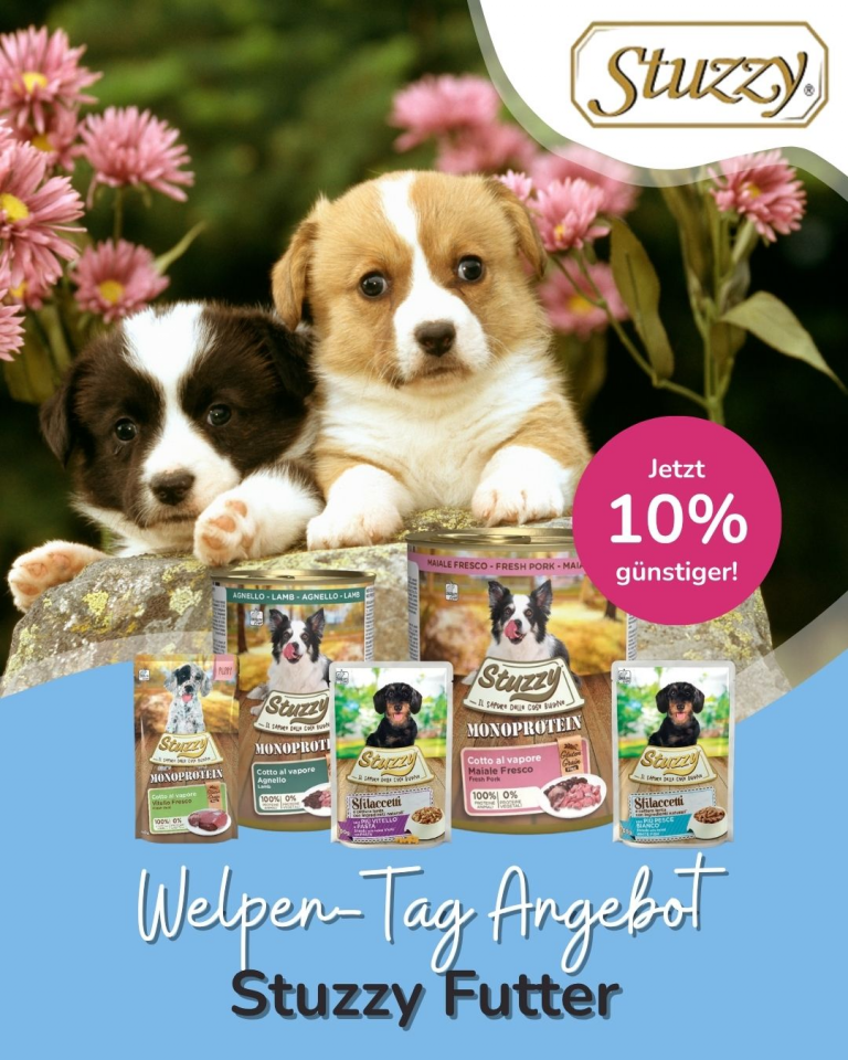 [OFERTA SPECJALNA] Dzień szczeniąt Stuzzy