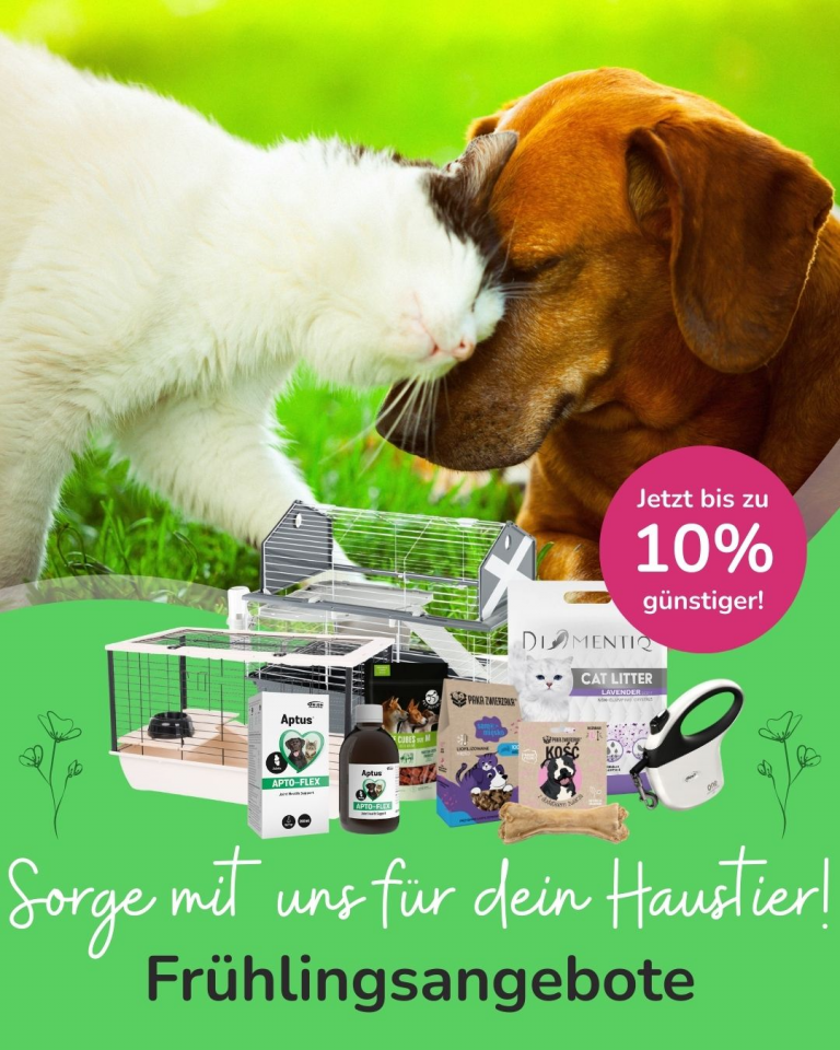 [OFERTA SPECJALNA] Wiosna