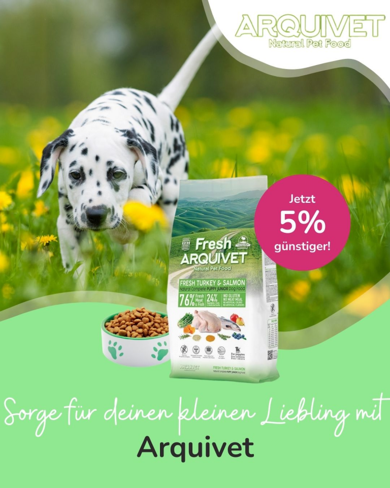 [Oferta specjalna] Szczenięta i kocięta