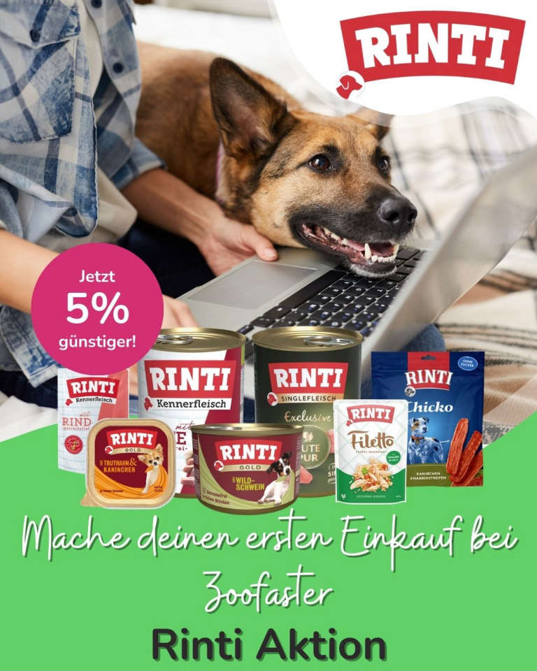 [OFERTA SPECJALNA] Maj pierwsze zakupy