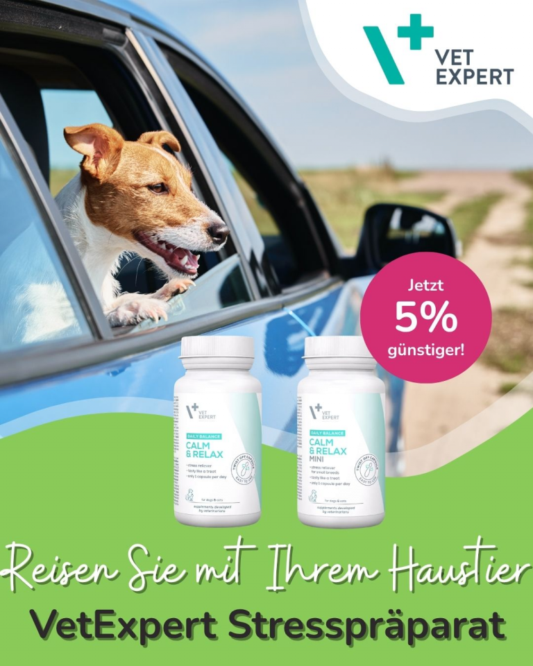 [OFERTA SPECJALNA] Kwiecień Podróż z pupilem VetExpert