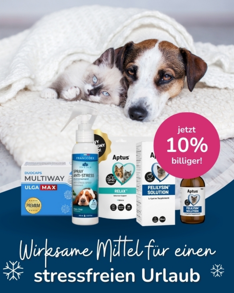 Winterangebot
