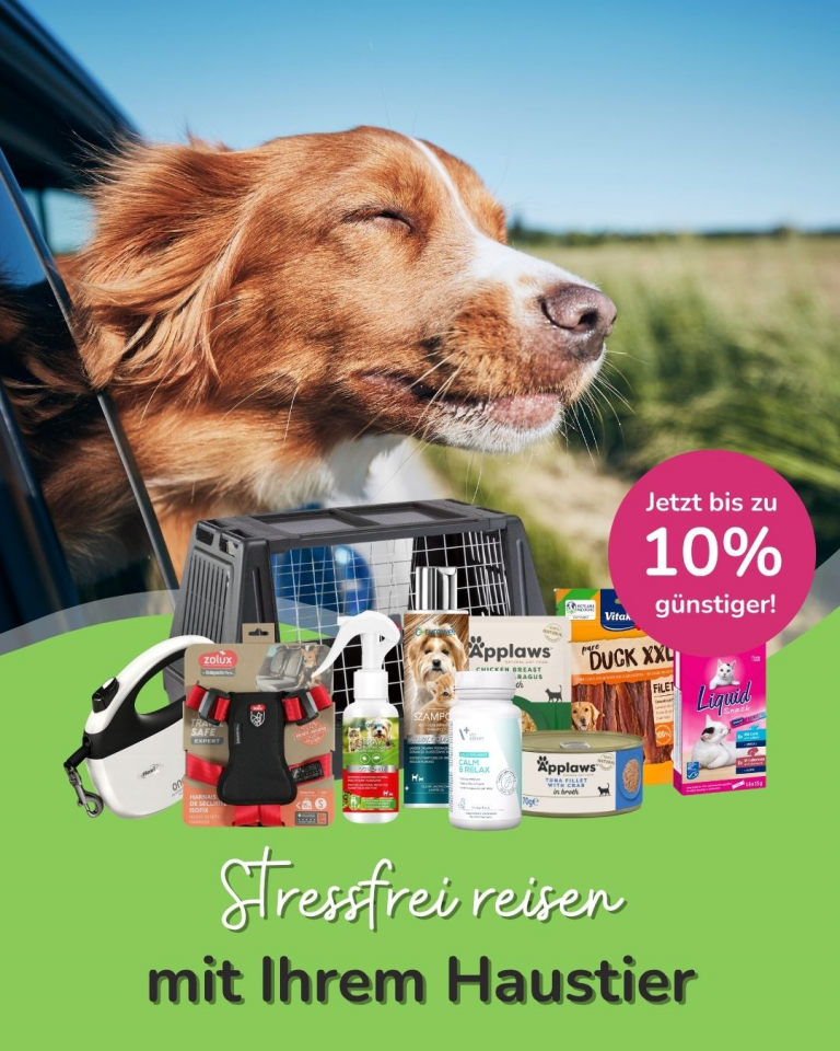 [OFERTA SPECJALNA] Kwiecień Podróż z pupilem