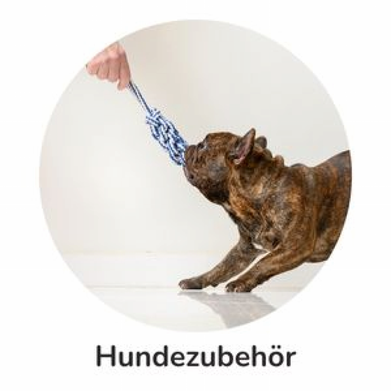 Hundezubehör
