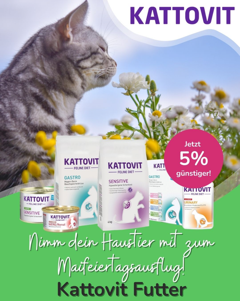 [OFERTA SPECJALNA] Majówka