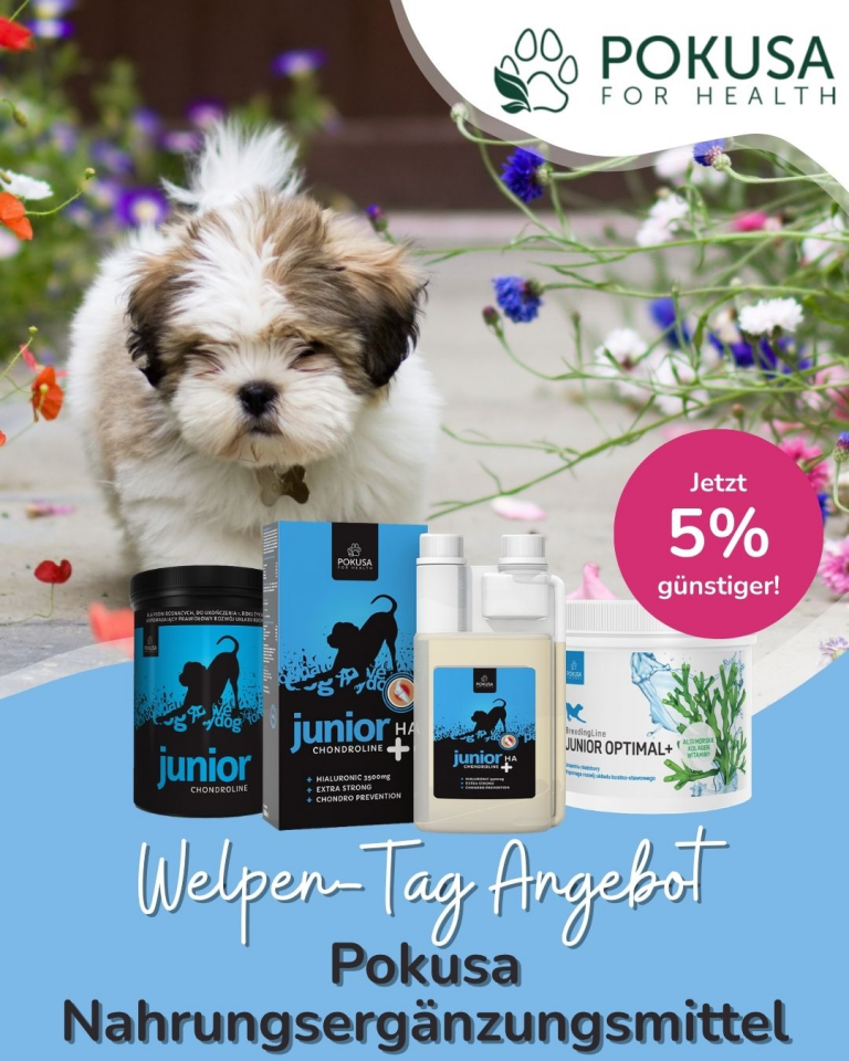 [OFERTA SPECJALNA] Dzień szczeniąt Pokusa