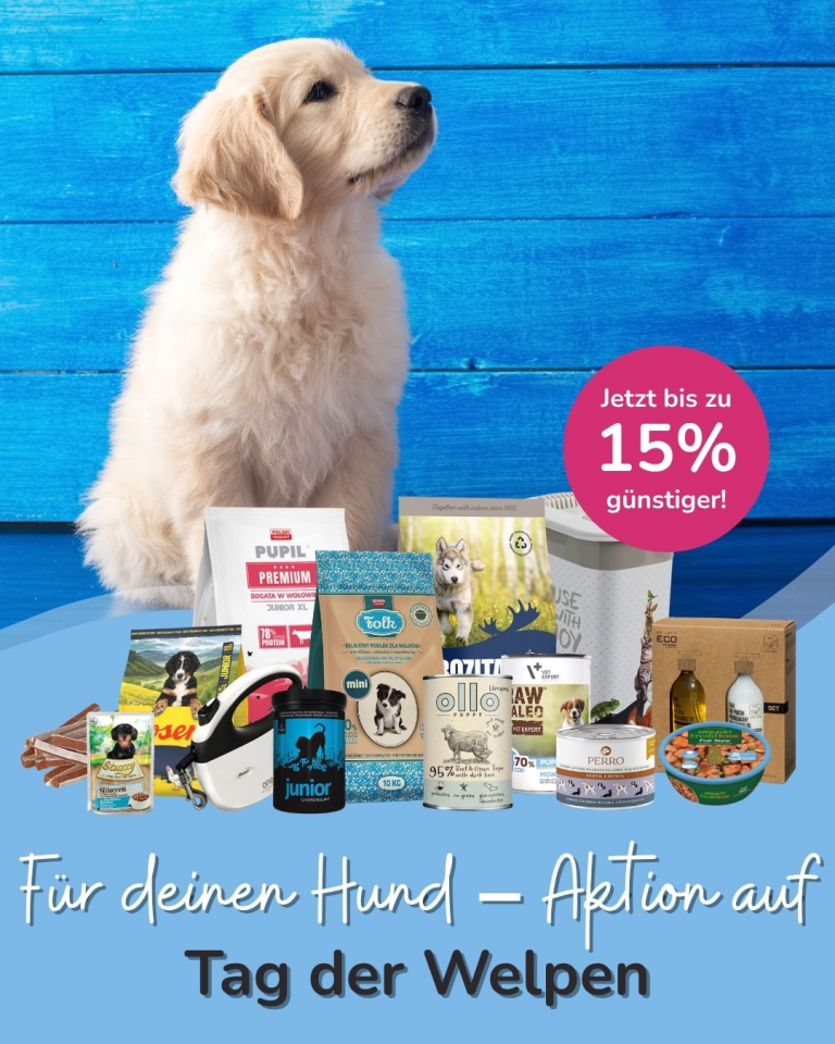 [OFERTA SPECJALNA] Dzień szczeniąt