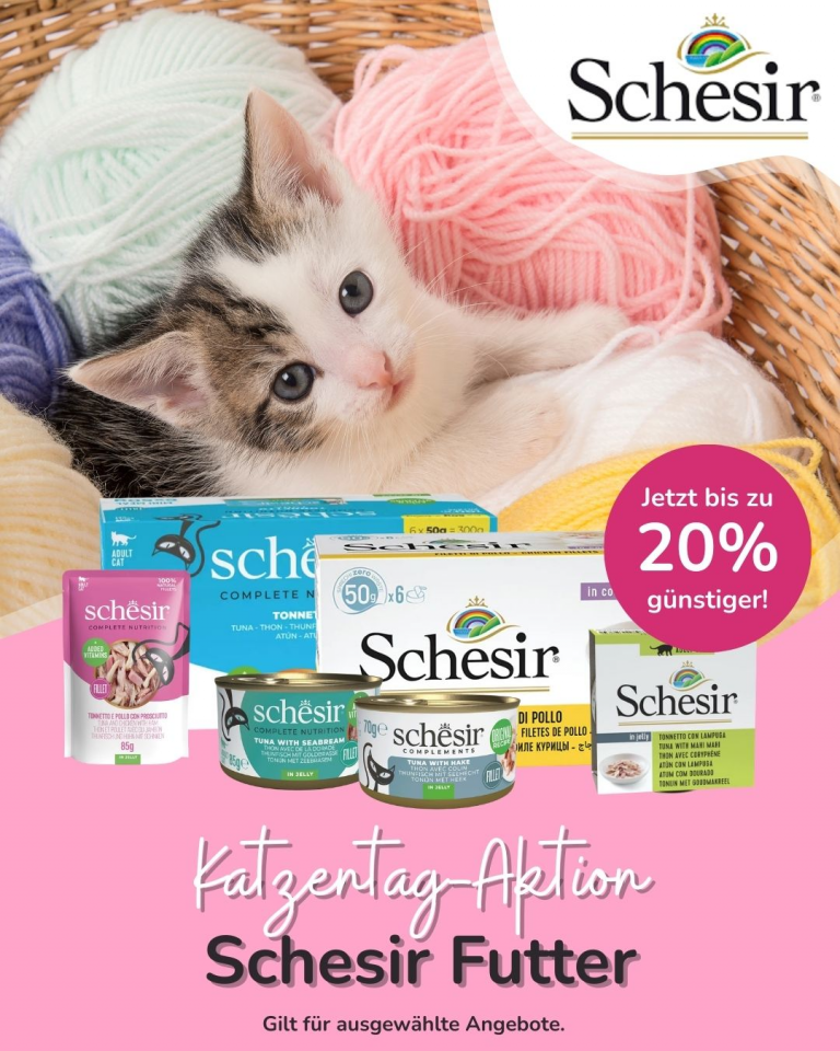 [OFERTA SPECJALNA] Luty Schesir