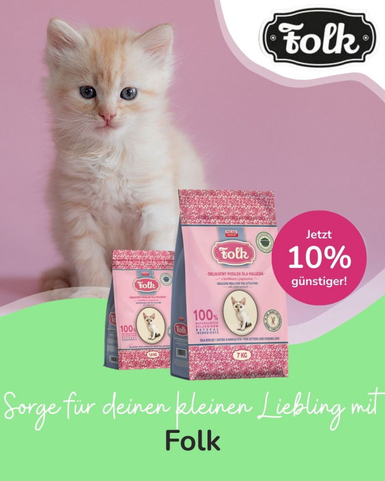 [Oferta specjalna] Szczenięta i kocięta