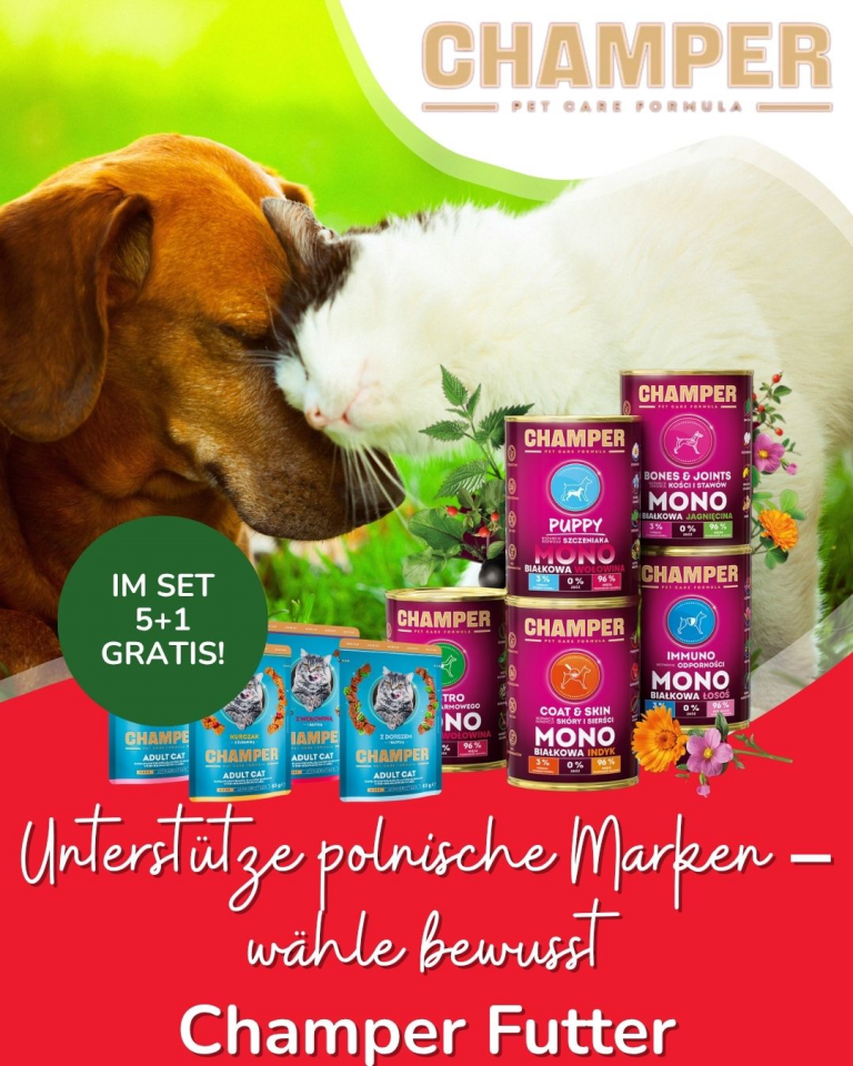 [OFERTA SPECJALNA] Polskie marki