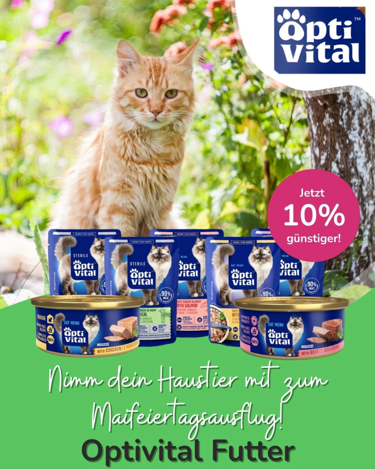 [OFERTA SPECJALNA] Majówka