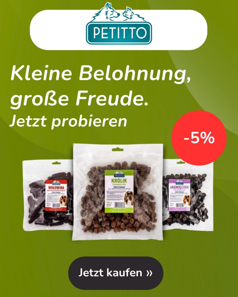 Petitto