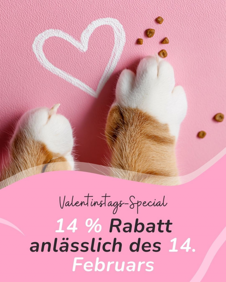 [OFERTA SPECJALNA] Luty -Walentynki