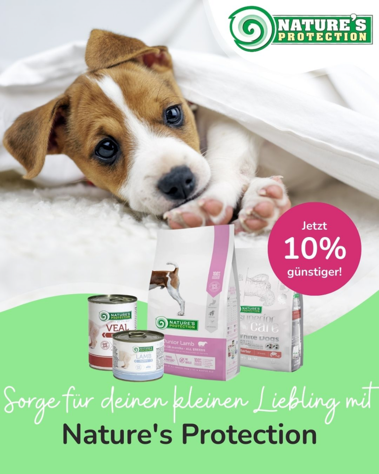 [Oferta specjalna] Szczenięta i kocięta