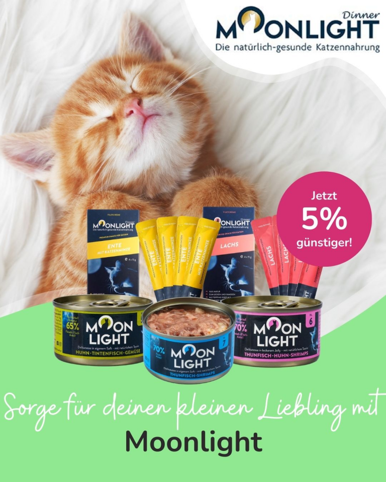 [Oferta specjalna] Szczenięta i kocięta