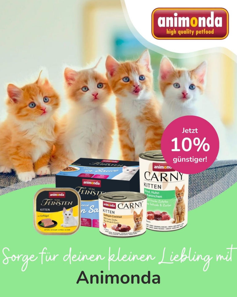 [Oferta specjalna] Szczenięta i kocięta