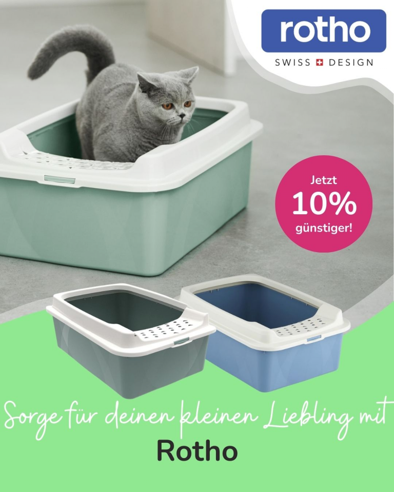 [Oferta specjalna] Szczenięta i kocięta