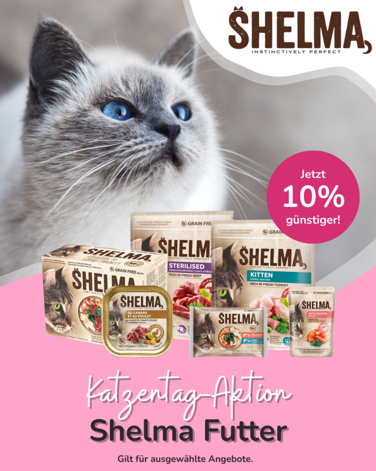 [OFERTA SPECJALNA] Luty Shelma