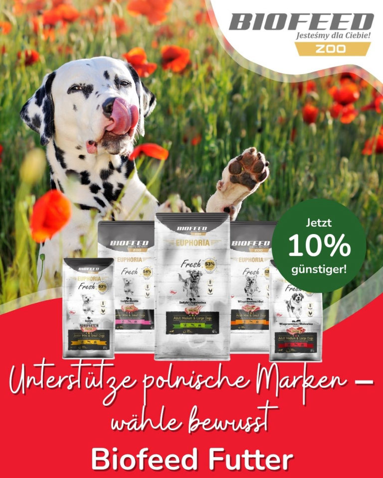 [OFERTA SPECJALNA] Maj Polskie marki