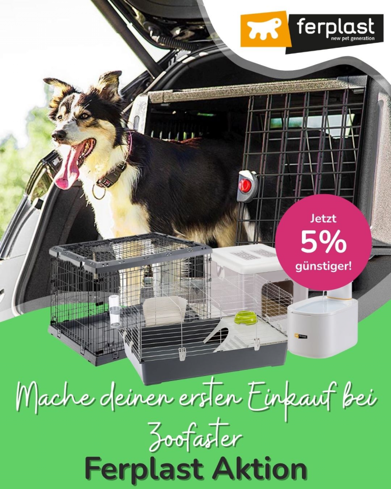 [OFERTA SPECJALNA] Maj pierwsze zakupy