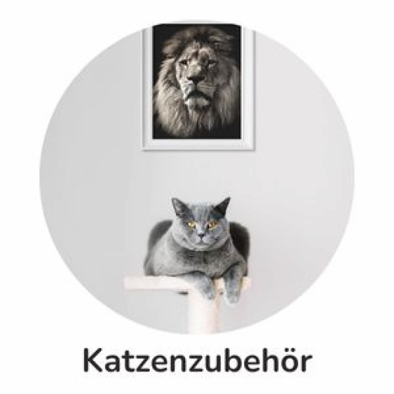Katzenzubehör