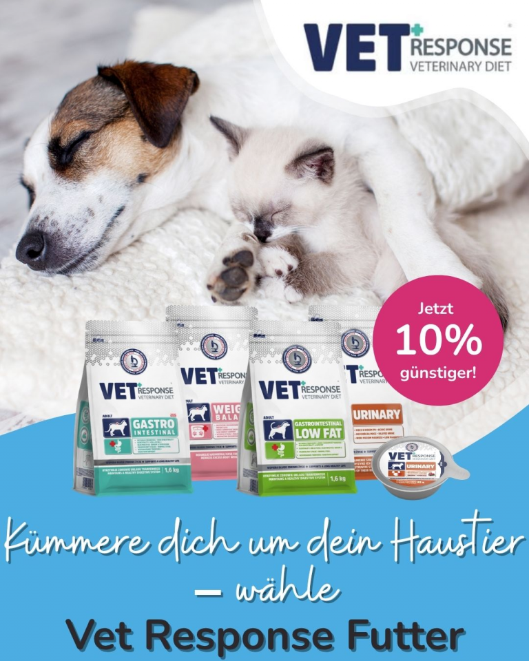 [OFERTA SPECJALNA] Maj Dzień praw zwierząt