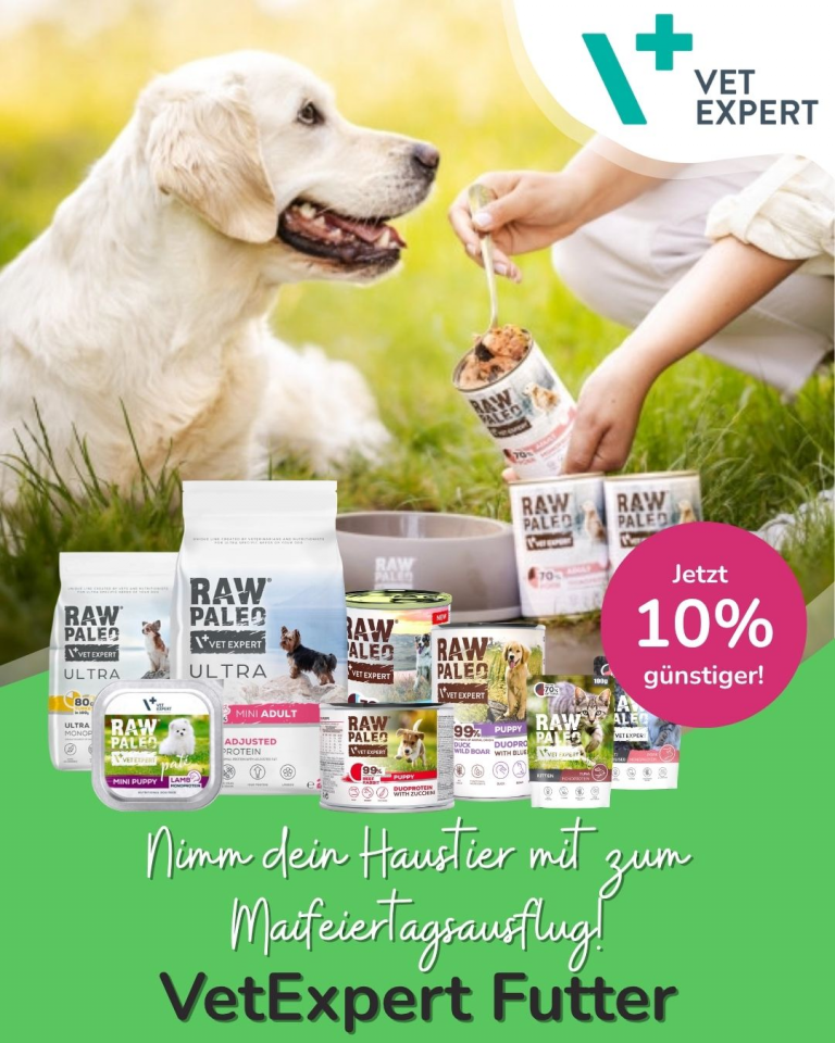 [OFERTA SPECJALNA] Majówka z pupilem