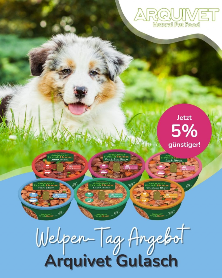 [OFERTA SPECJALNA] Dzień szczeniąt Arquivet