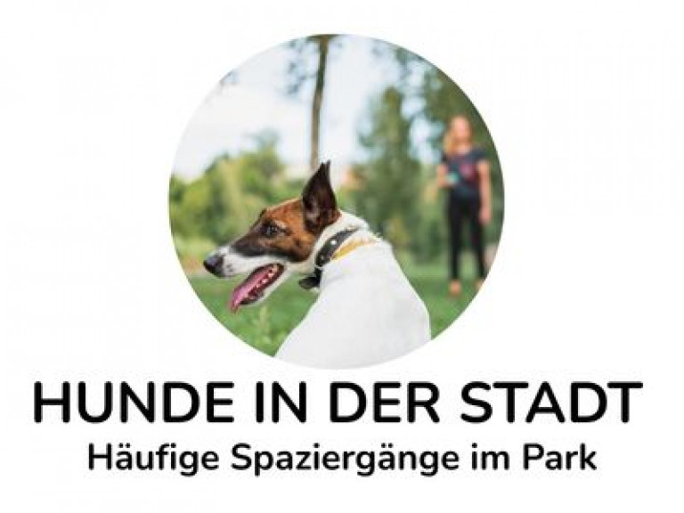 ➡ Empfehlung: Spot-on-Tropfen oder Tabletten