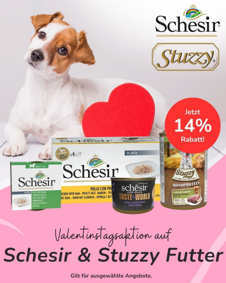 [OFERTA SPECJALNA] lUTY- Schesir Stuzzy