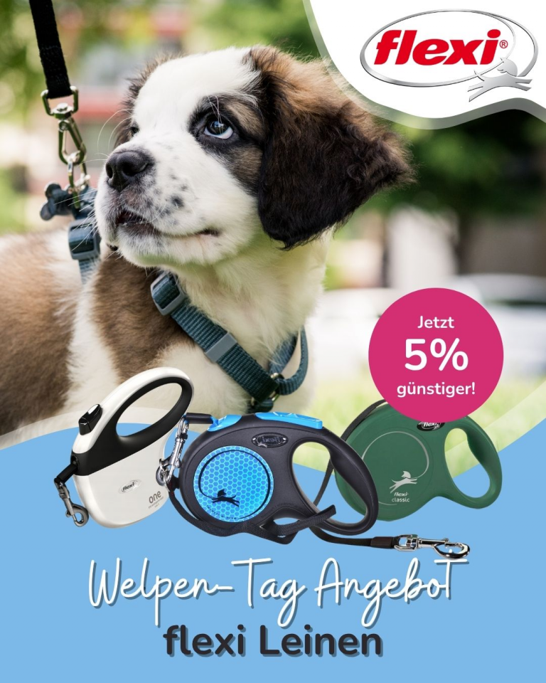 [OFERTA SPECJALNA] Dzień szczeniąt flexi