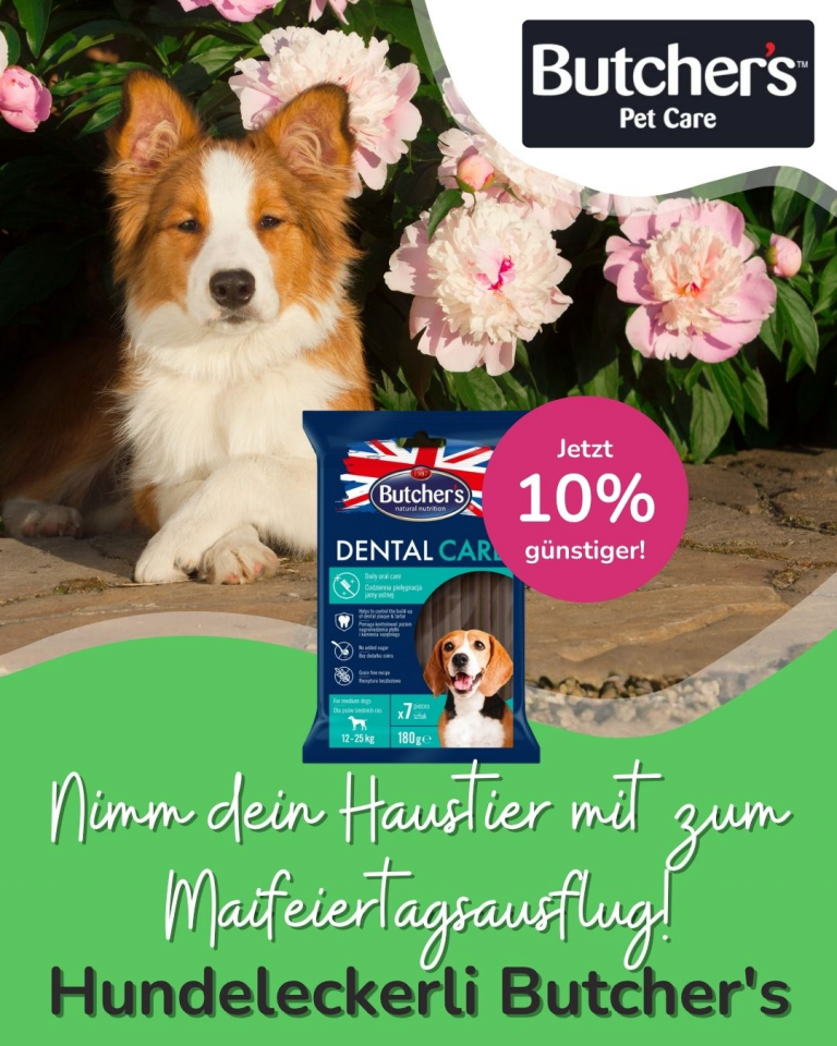 [OFERTA SPECJALNA] Majówka z pupilem