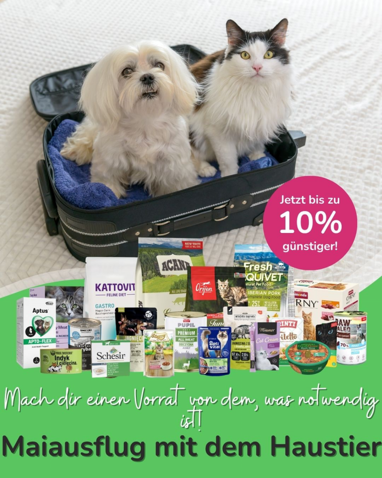 [OFERTA SPECJALNA] Majówka z pupilem