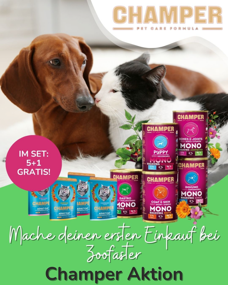 [OFERTA SPECJALNA] Maj pierwsze zakupy