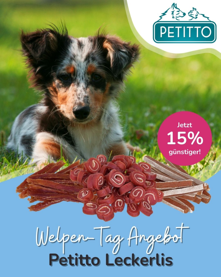 [OFERTA SPECJALNA] Dzień szczeniąt Pettito