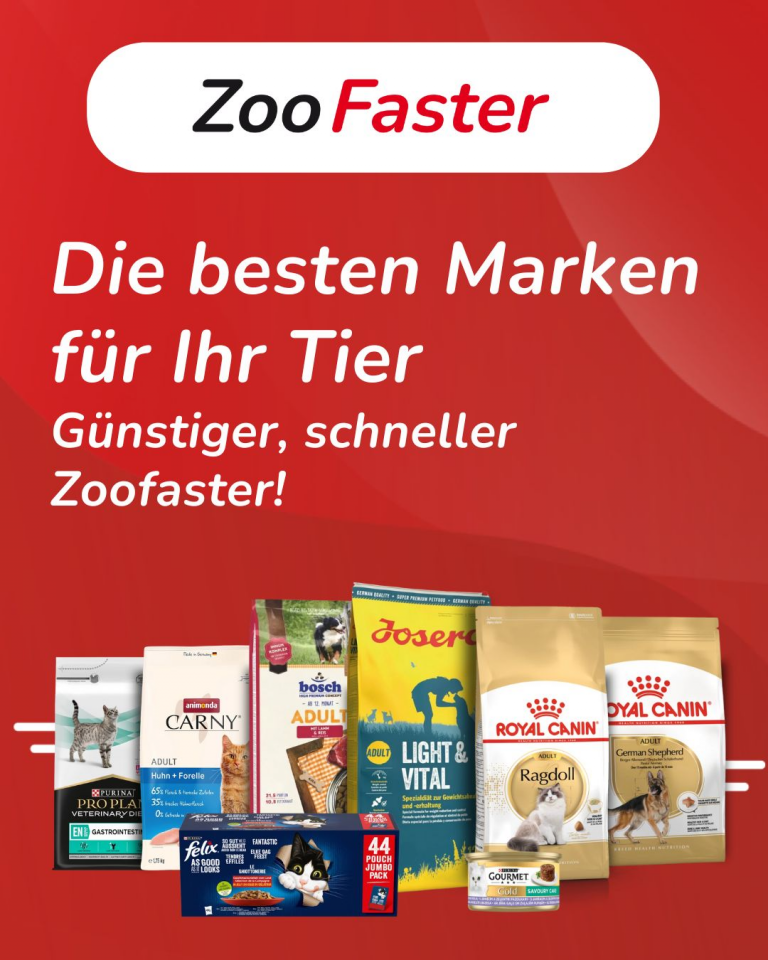 Bestseller