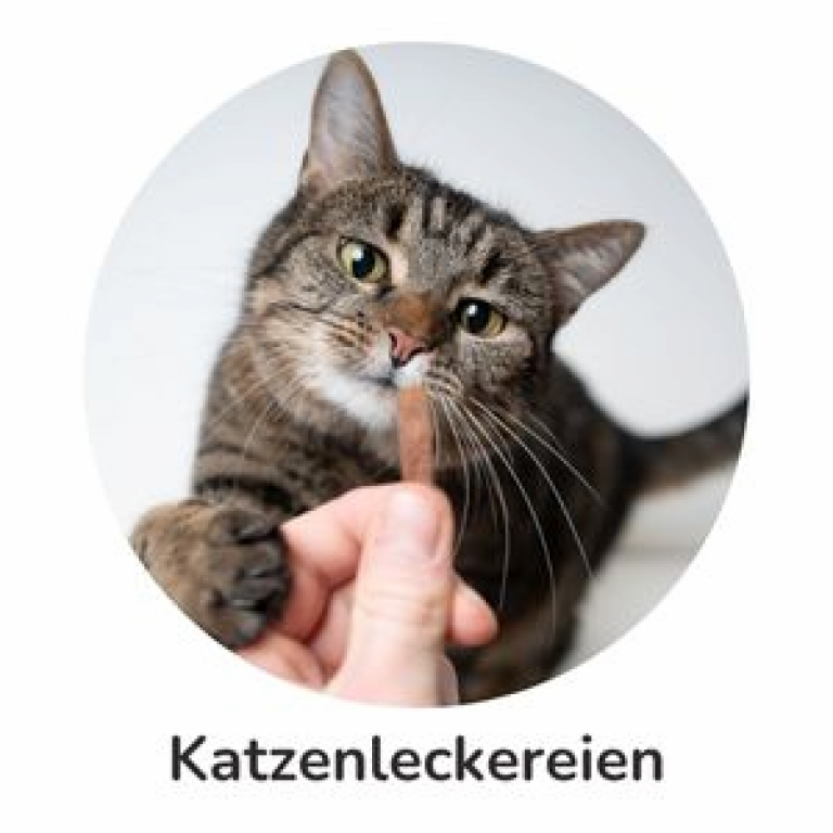 Katzenleckereien