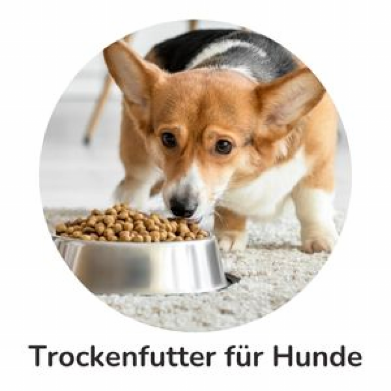 Trockenfutter für Hunde