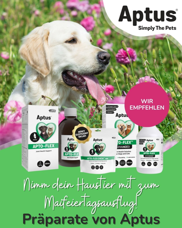 [OFERTA SPECJALNA] Majówka z pupilem