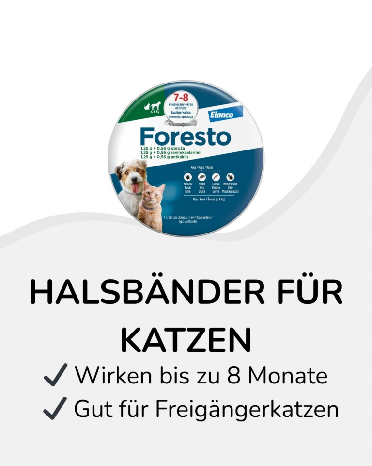 halsbander fur katzen