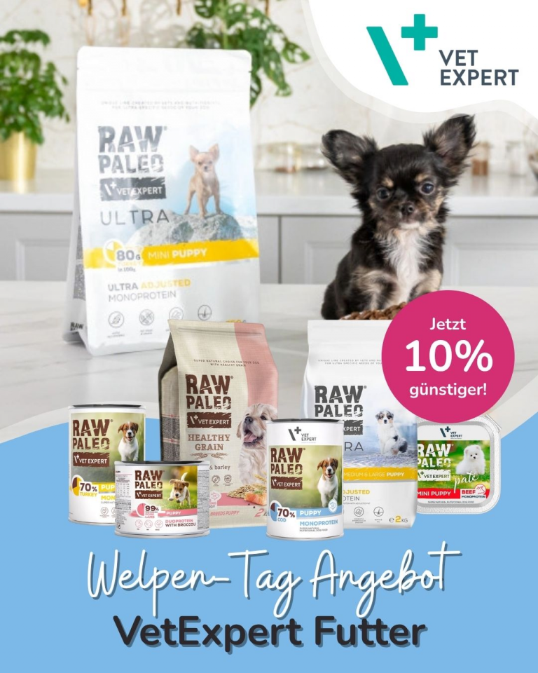 [OFERTA SPECJALNA] Dzień szczeniąt Vetexpert