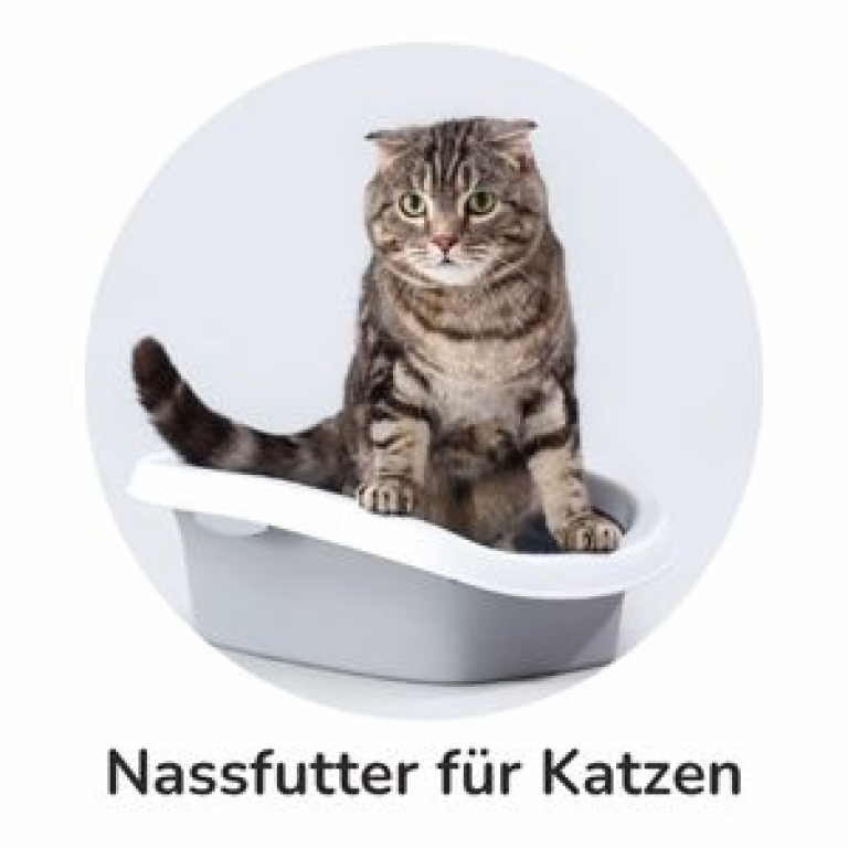 Katzenstreu