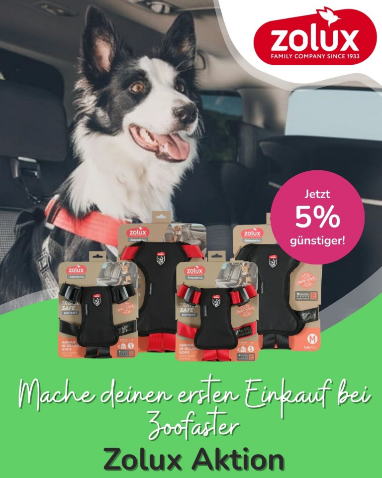 [OFERTA SPECJALNA] Maj pierwsze zakupy
