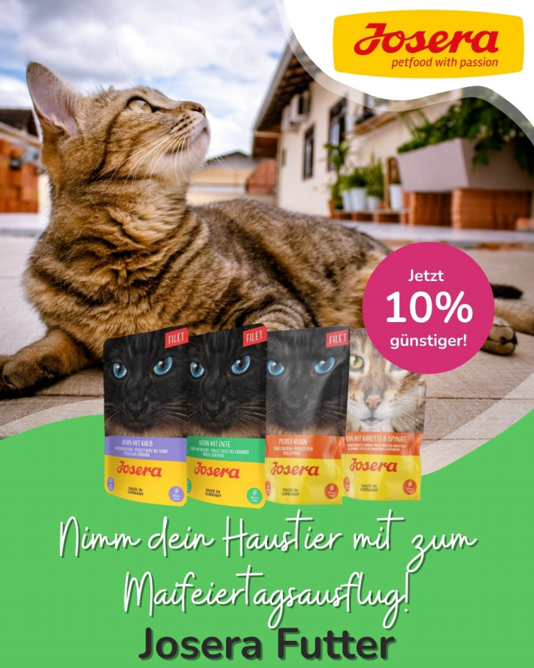 [OFERTA SPECJALNA] Majówka z pupilem