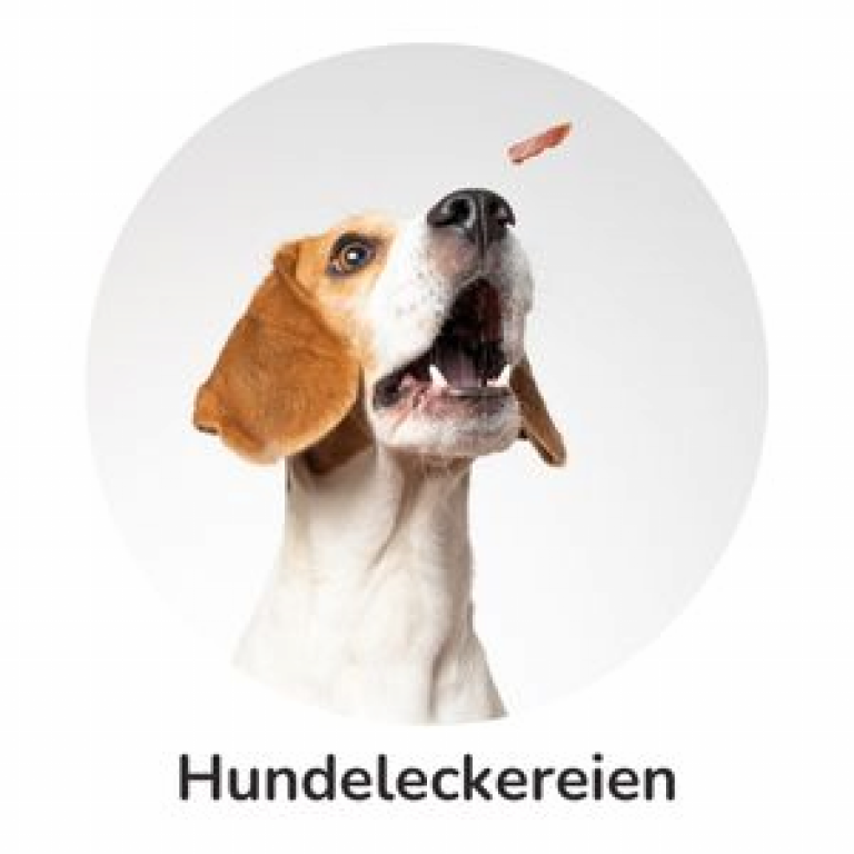 Hundeleckerlis