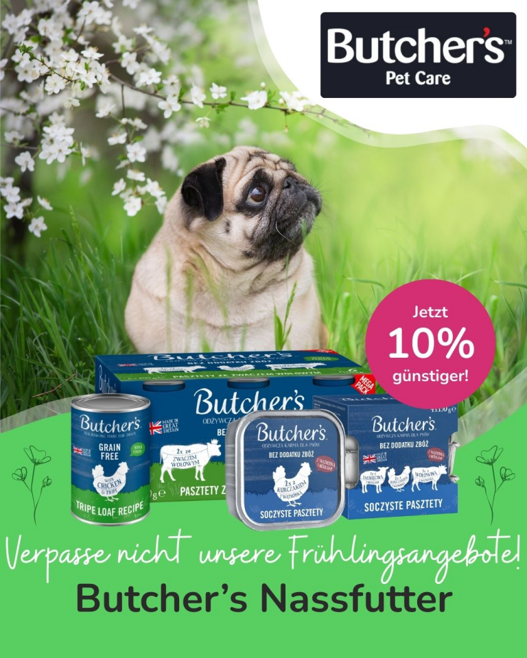 [OFERTA SPECJALNA] Butcher's