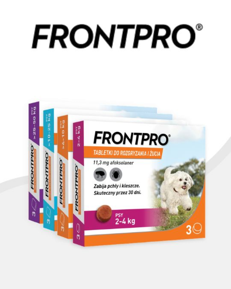 Frontpro